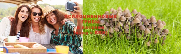 прущая мука Карпинск