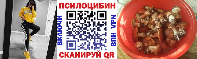 Псилоцибиновые грибы мухоморы  Купить закладки  Арсеньев 